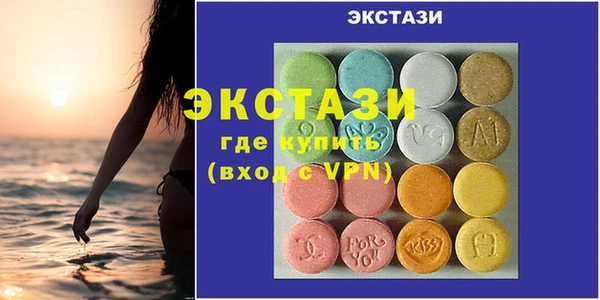 индика Медвежьегорск
