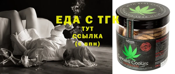 индика Медвежьегорск