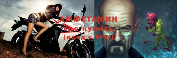 индика Медвежьегорск