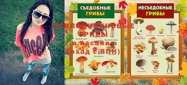 таблы Медногорск