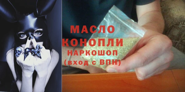 индика Медвежьегорск