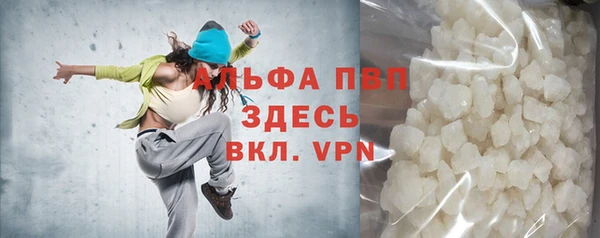 индика Медвежьегорск