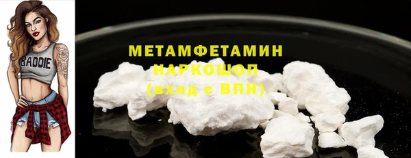 индика Медвежьегорск