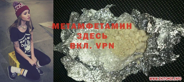 индика Медвежьегорск