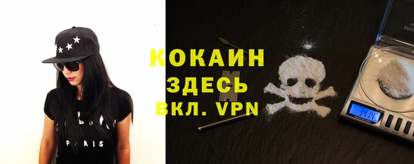 индика Медвежьегорск