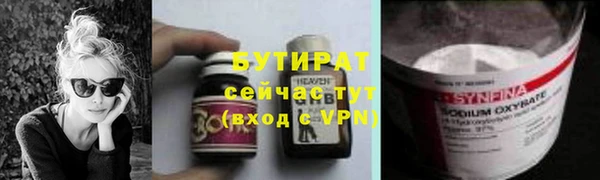 индика Медвежьегорск