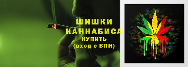 СК Мегион