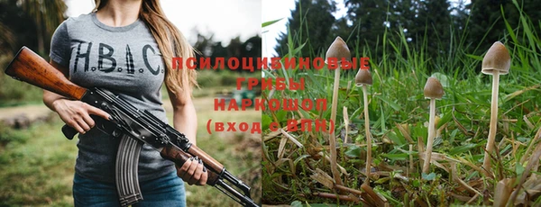 СК Мегион