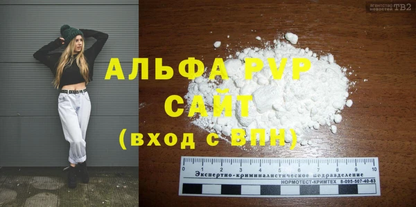 индика Медвежьегорск