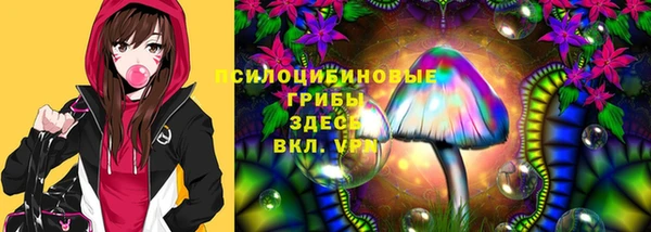 СК Мегион