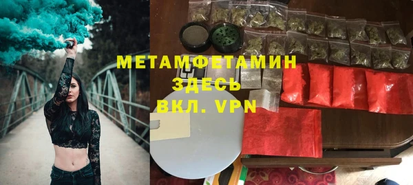 индика Медвежьегорск