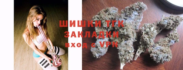 индика Медвежьегорск