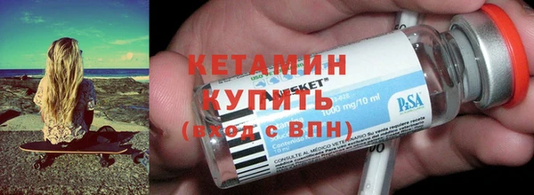 индика Медвежьегорск