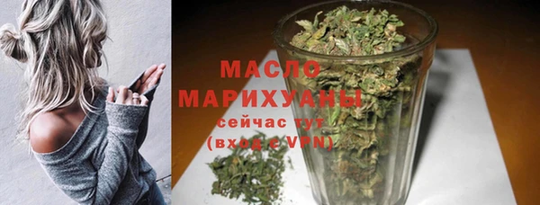 индика Медвежьегорск