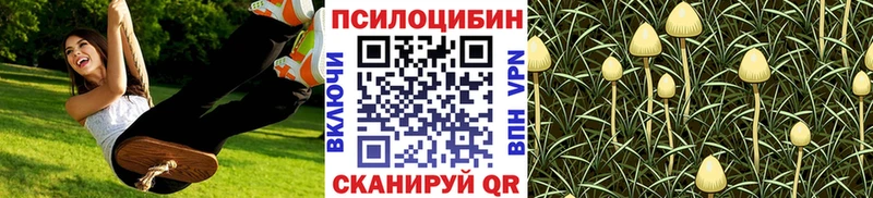 Галлюциногенные грибы MAGIC MUSHROOMS  Ярцево 