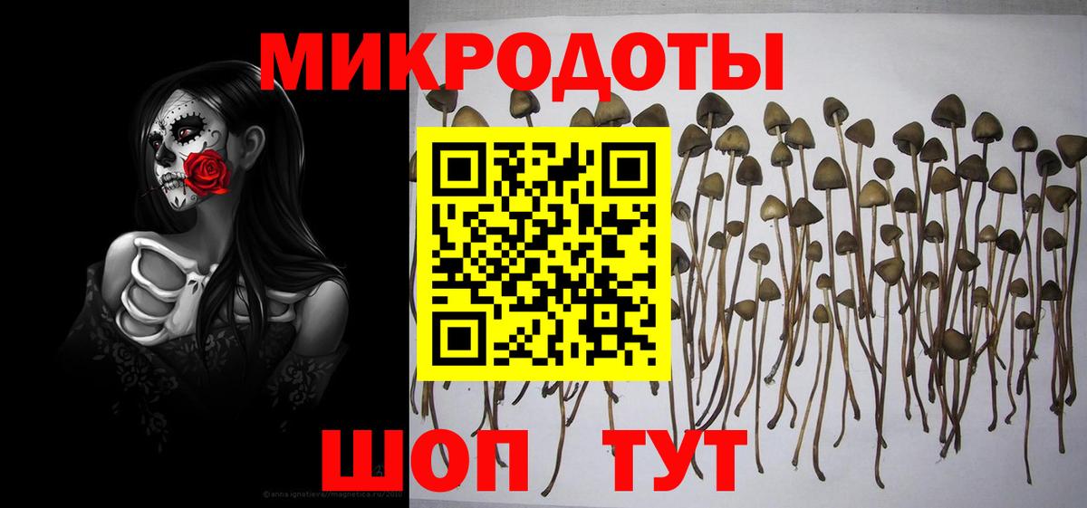 Ярцево  Псилоцибиновые грибы мухоморы  Вход с VPN 