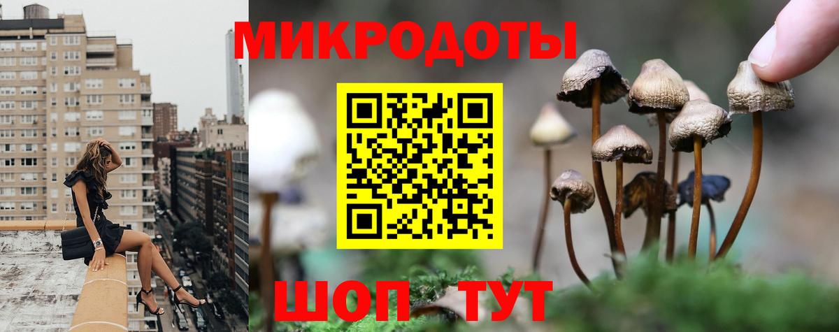Псилоцибиновые грибы прущие грибы Ярцево